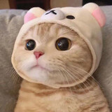 Xiayi_XAY73_