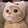 Xiayi_XAY73_