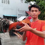 doc wiwin357