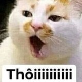 Thanh Trường_91_1084