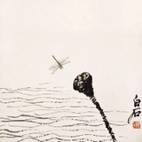 谷兰 (English)