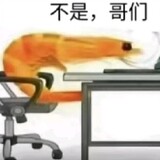 zhipianrengaoshou