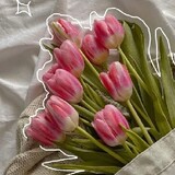 Riztianne Reynne Sib