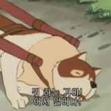 jekki-xiaomie