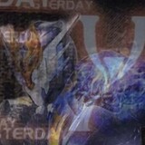 yzhan____wo