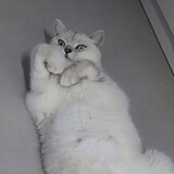 suihuixianzhi