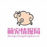 mengchongqingbao1