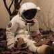 creator avatar
