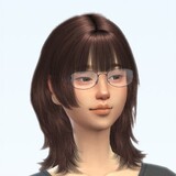 ximinsi-sims