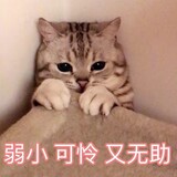 tianyumenai