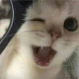 tietiesongsong