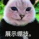 creator avatar