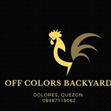 Off Color Backyard