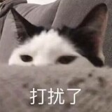 rengniyigehuoqiuxixi