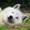 keaihulangcutewolfox