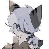 catf1sh8729
