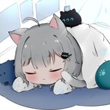 v50spr_jiedaijian
