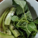 leenashbanyunzhan