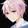 no.game.x.anime's