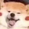 aipaihuanyinge