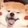aipaihuanyinge