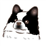 yaobaofudett
