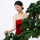 chengzixiguaf___ia
