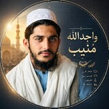 Wajid ullah_5436