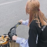 peiduofeideyu
