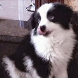 xiaobaobaobaobao-