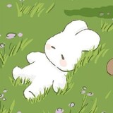 Vinny_lii