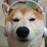 mangmangcheng
