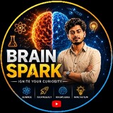Brainspark