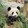Hongxiaoshibaigaoyue