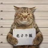 anvmomeirenpeituoxie