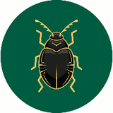 ItsWildTruth