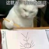 mz-ikun