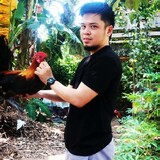 TunYing2929