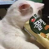 qingningninini
