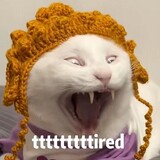 gongdeup