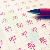 zhifeixizi
