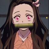 [Nezuko_Fujitaッ]