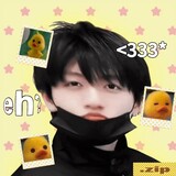 shulinliyouxinxin