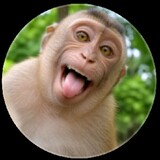 ai video creator 123