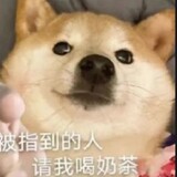 qionghuahua_