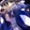 shashou_shark1st