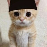 Ikram Ikram_6987