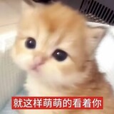 -danziyougexu