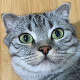 diancigege