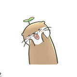 caomeitatapai